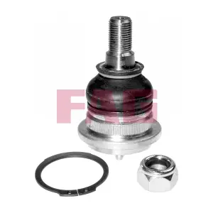 825 0034 10 Schaeffler FAG