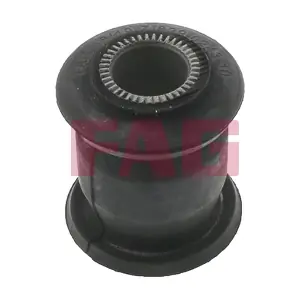 829 0243 10 Schaeffler FAG