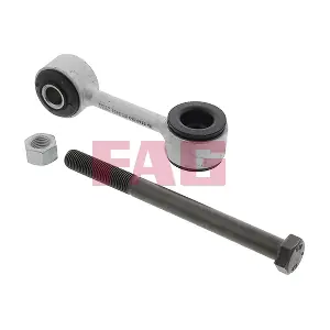 Schaeffler FAG 818019810