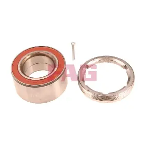 713606310 Schaeffler FAG