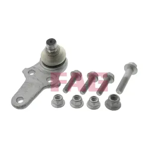 825 0295 10 Schaeffler FAG