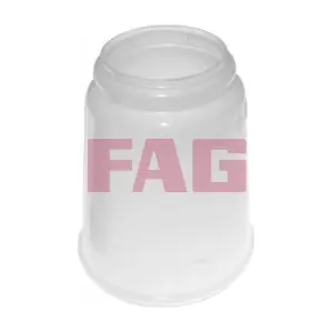 810 0111 10 Schaeffler FAG