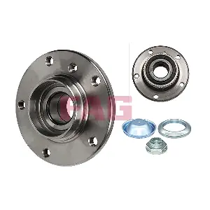 713667060 Schaeffler FAG