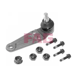 825 0216 10 Schaeffler FAG