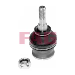 825 0066 10 Schaeffler FAG