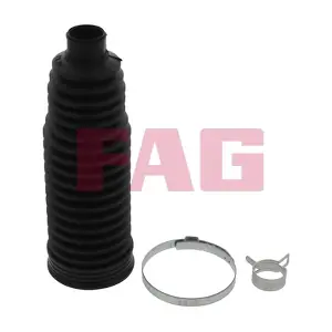 841021930 Schaeffler FAG