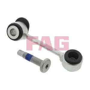 818 0096 10 Schaeffler FAG