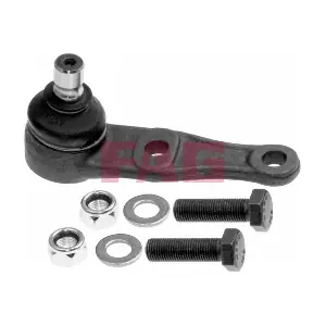 825 0019 10 Schaeffler FAG