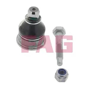 825 0188 10 Schaeffler FAG
