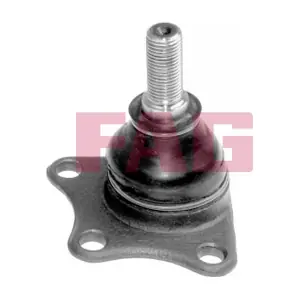 825 0194 10 Schaeffler FAG