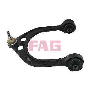 821095110 Schaeffler FAG