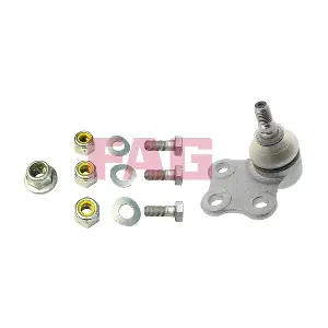 825 0117 10 Schaeffler FAG