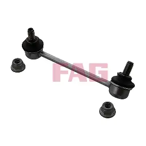 818 0695 10 Schaeffler FAG