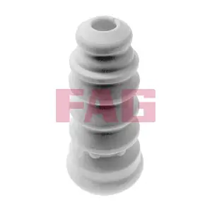 810 0021 10 Schaeffler FAG