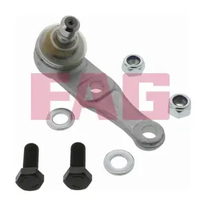 825 0107 10 Schaeffler FAG