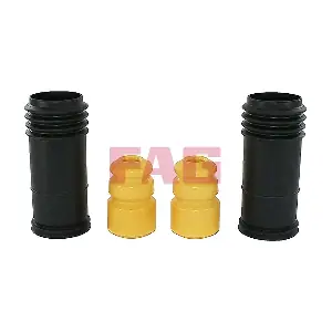 811 0069 30 Schaeffler FAG
