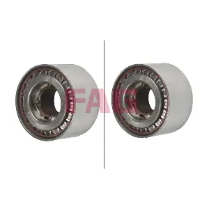 101096 Schaeffler FAG