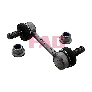 818 0698 10 Schaeffler FAG