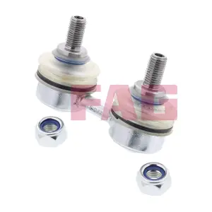 818020310 Schaeffler FAG