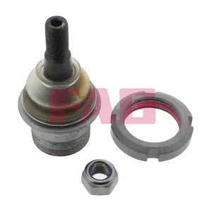 825 0079 10 Schaeffler FAG
