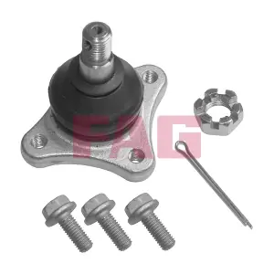 825033110 Schaeffler FAG