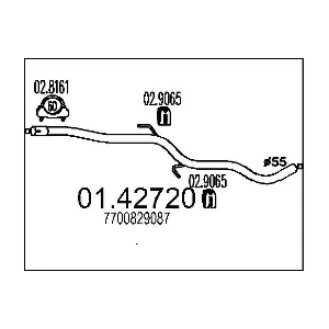 21448 POLMO