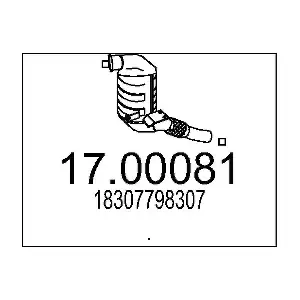 17.00081 MTS