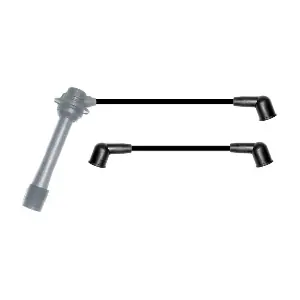 ZK1704 BBT