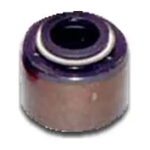53009886 ALLMAKES