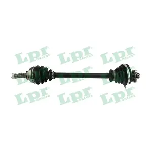 DS60295 LPR