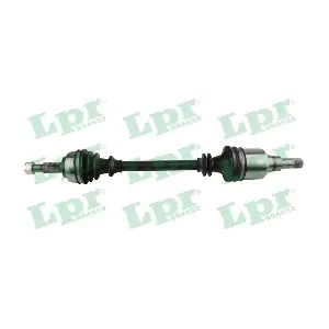 DS52407 LPR