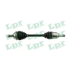DS60309 LPR
