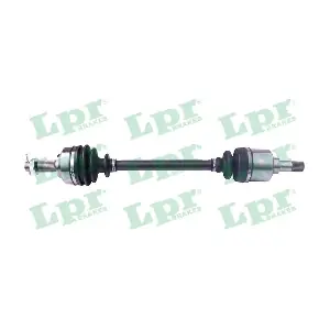 DS16090 LPR