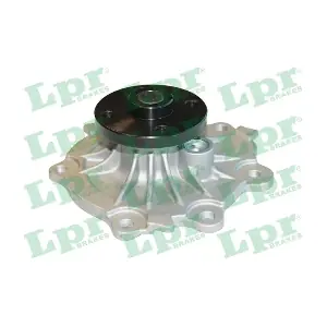 WP0891 LPR