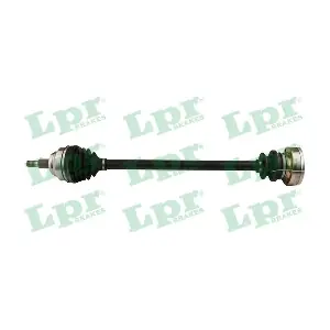 DS51080 LPR