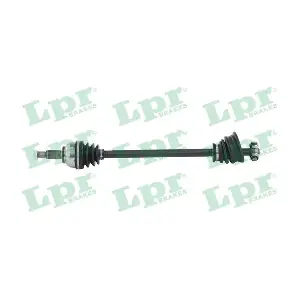 DS52247 LPR