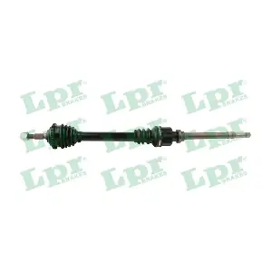 DS60595 LPR