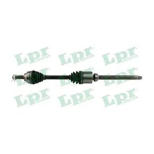 DS60200 LPR