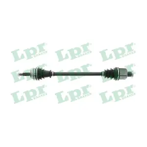 DS39223 LPR
