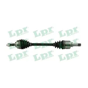 DS16204 LPR