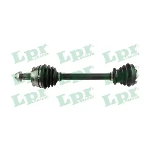LPR DS60319