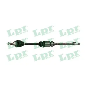 LPR DS21135