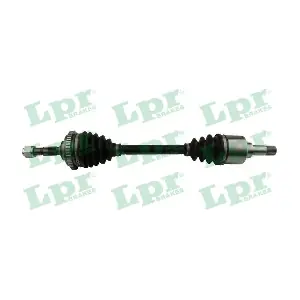 DS38143 LPR