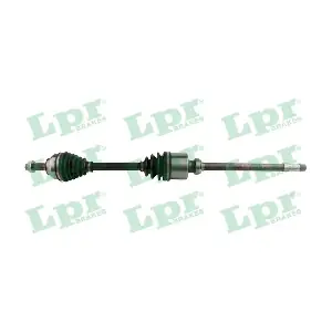 DS60206 LPR