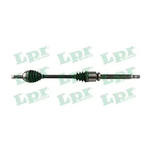 DS52455 LPR