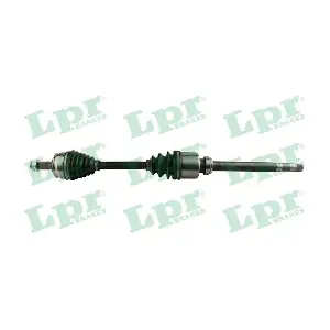 DS60266 LPR