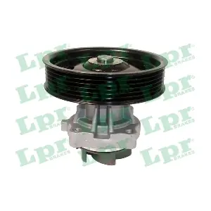 LPR WP0681