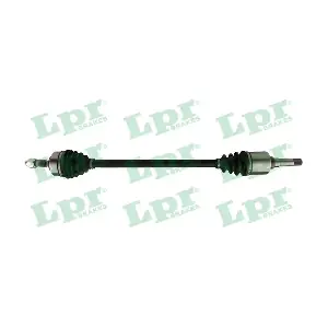 DS60581 LPR