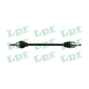 DS21087 LPR