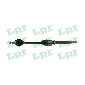 DS60298 LPR
